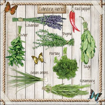 Kitchen Herbs papírszalvéta 33x33cm, 20db-os, AMB.13317265