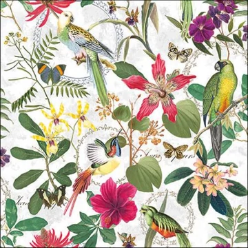Tropical Jungle papírszalvéta 33x33cm, 20db-os, AMB.13317220
