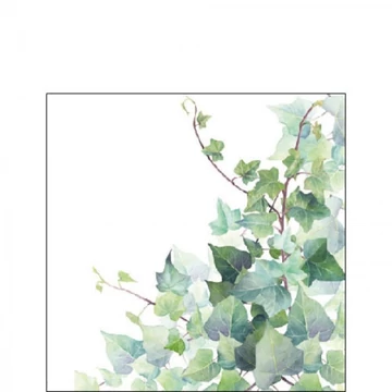 Hedera White papírszalvéta 25x25cm,20db-os, AMB.12517025