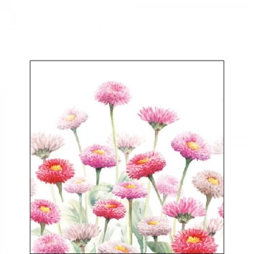 Painted Bellis papírszalvéta 25x25cm,20db-os, AMB.12517020