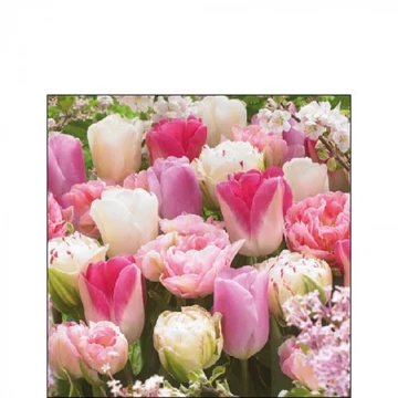 Pink Tulips papírszalvéta 25x25cm,20db-os, AMB.12517055