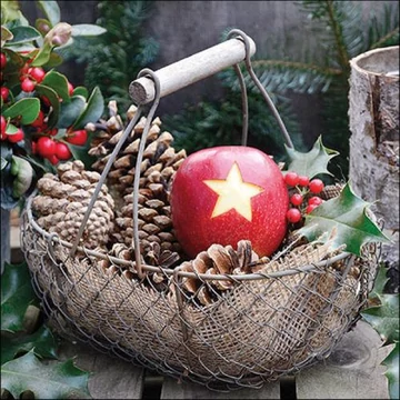 Star apple papírszalvéta 33x33cm, 20db-os, AMB.33317825 Star apple papírszalvéta 33x33cm, 20db-os, AMB.33317825