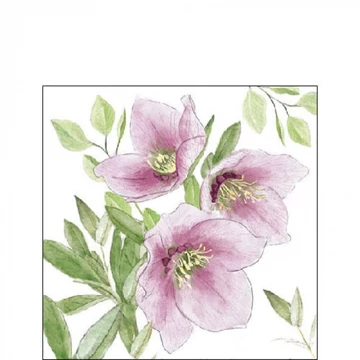 Classic helleborus papírszalvéta 25x25cm, 20db-os, AMB.32518015