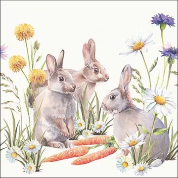 Carrot treat papírszalvéta 33x33cm,20db-os, AMB.23318250