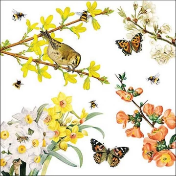 Spring awakening papírszalvéta 33x33cm, 20db-os, AMB.13318400