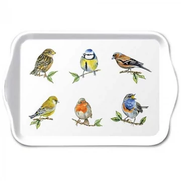 Bird species white műanyag kistálca 13x21cm, AMB.13718135