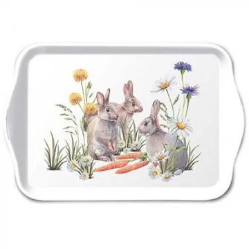 Carrot treat műanyag kistálca 13x21cm, AMB.23718250