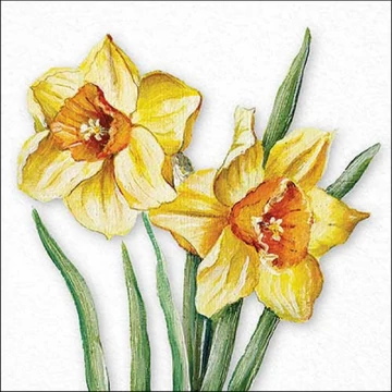 Flowering daffodils papírszalvéta 33x33cm, 20db-os, AMB.13318490