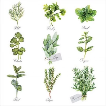 Herb selection papírszalvéta 33x33cm, 20db-os, AMB.13318560 Herb selection papírszalvéta 33x33cm, 20db-os, AMB.13318560