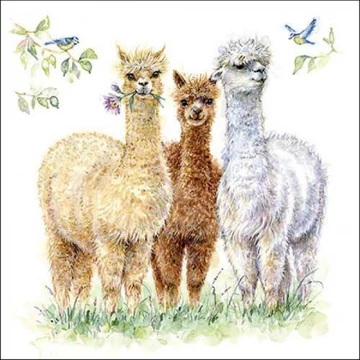 Alpaca friends papírszalvéta 33x33cm, 20db-os, AMB.13318570