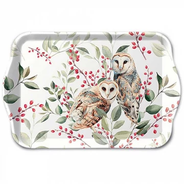 Barn owl couple műanyag kistálca 13x21cm, AMB.13718685