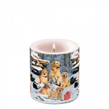 Golden retriever puppies átvilágítós gyertya 8x7,5cm, AMB.39218885