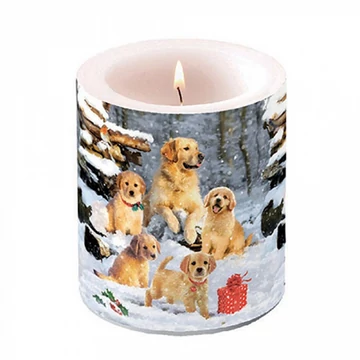 Golden retriever puppies átvilágítós gyertya 10x10xcm, AMB.39318885