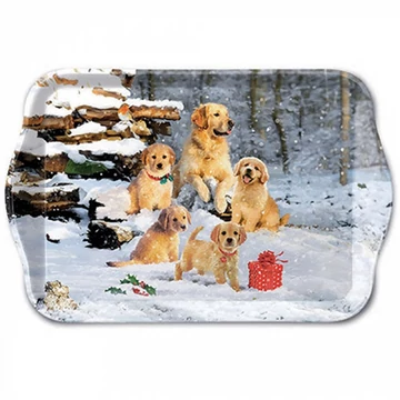 Golden retriever puppies műanyag kistálca 13x21cm, AMB.33718885