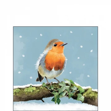 Robin on branch papírszalvéta 25x25cm, 20db-os, AMB.32519180