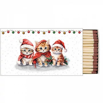 Funny cute kittens gyufa 6,5x11cm, AMB.39519105