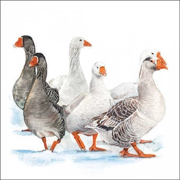 Winter geese papírszalvéta 33x33cm, 20db-os, AMB.33319290
