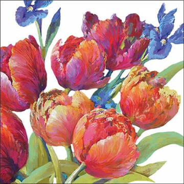 Tulips of joy papírszalvéta 33x33cm, 20db-os, AMB.13319310
