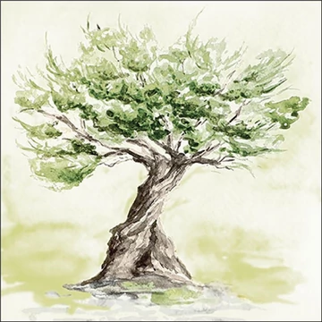 Olive tree papírszalvéta 33x33cm, 20db-os, AMB.13319435