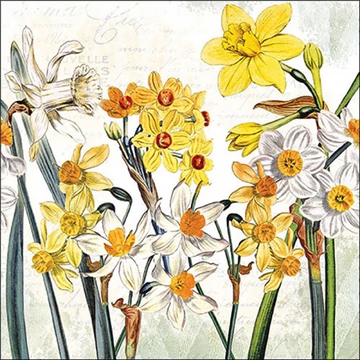 Narcissus papírszalvéta 33x33cm, 20db-os, AMB.13319570