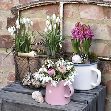 Winter flowers papírszalvéta 33x33cm, 20db-os, AMB.13319620