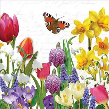 Spring feeling papírszalvéta 33x33cm, 20db-os, AMB.13319640