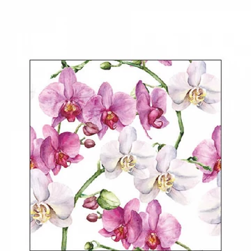 Elegant orchids white papírszalvéta 25x25cm,20db-os, AMB.12519605