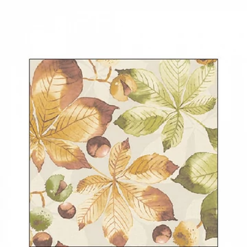 Castanea papírszalvéta 25x25cm, 20db-os, AMB.12519715