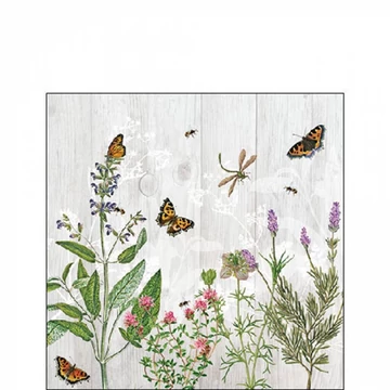 Herb Garden papírszalvéta 25x25cm,20db-os, AMB.12519345
