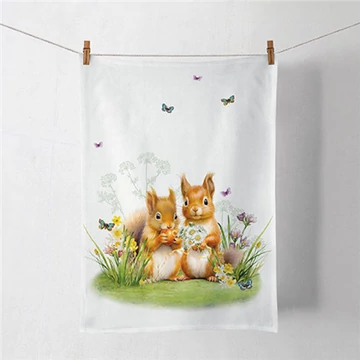 Little squirrels konyharuha 50x70cm, 100% pamut, AMB.17819465