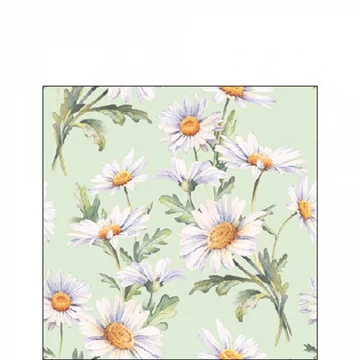 Beautiful daisies green papírszalvéta 25x25cm,20db-os, AMB.12519546