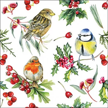 Birds in Winter papírszalvéta 33x33cm, 20db-os, AMB.33319955