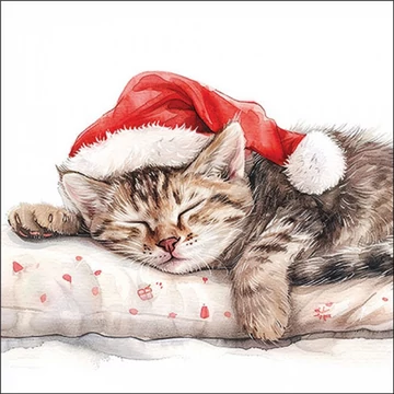 Dreaming about X-Mas papírszalvéta 33x33cm, 20db-os, AMB.33320080 Dreaming about X-Mas papírszalvéta 33x33cm, 20db-os, AMB.33320080