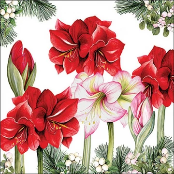 Blooming amaryllis white papírszalvéta 33x33cm, 20db-os, AMB.33320275