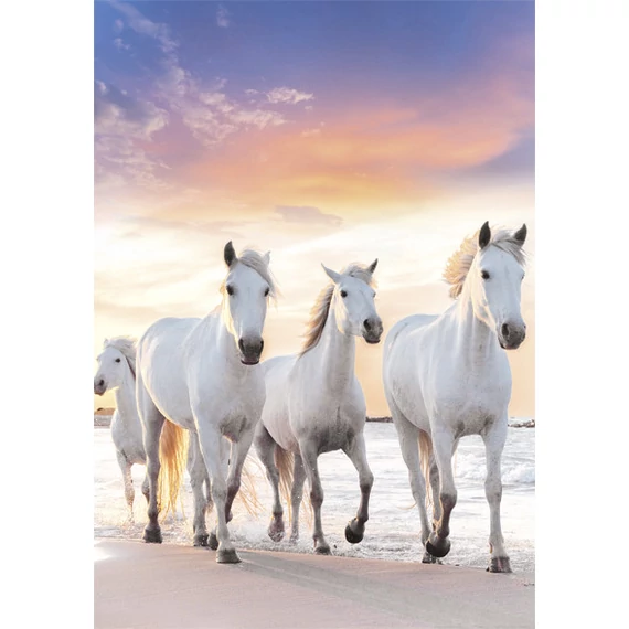 Lovas Gallop A/4 gumis mappa
