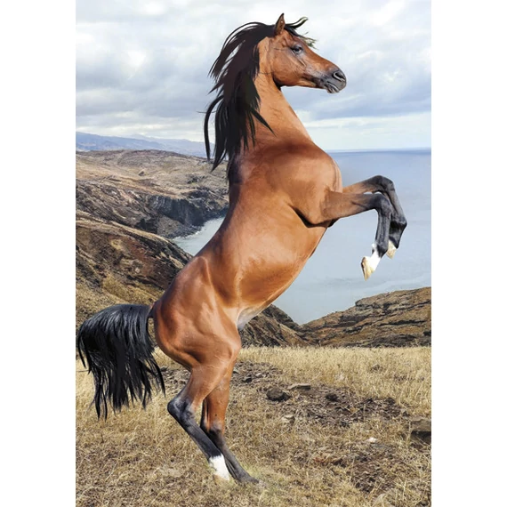 Lovas Wild Spirit A/4 gumis mappa