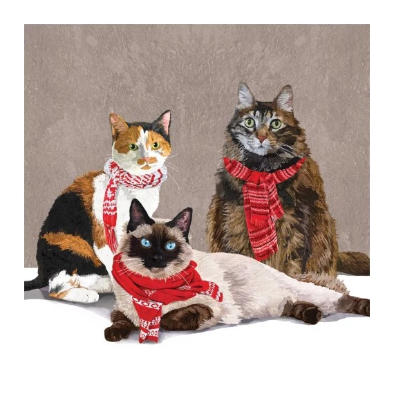 Scarf Cats papírszalvéta 33x33cm, 20db-os, PPD.C333002455