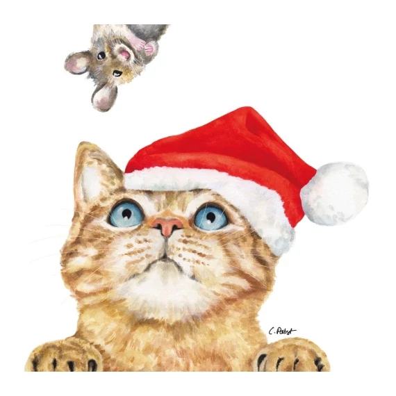 Who are you papírszalvéta 33x33cm, 20db-os, PPD.C333003107