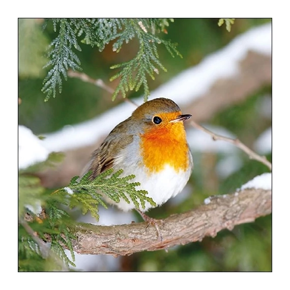 Robin in Tree papírszalvéta 33x33cm, 20db-os, AMB.33314685