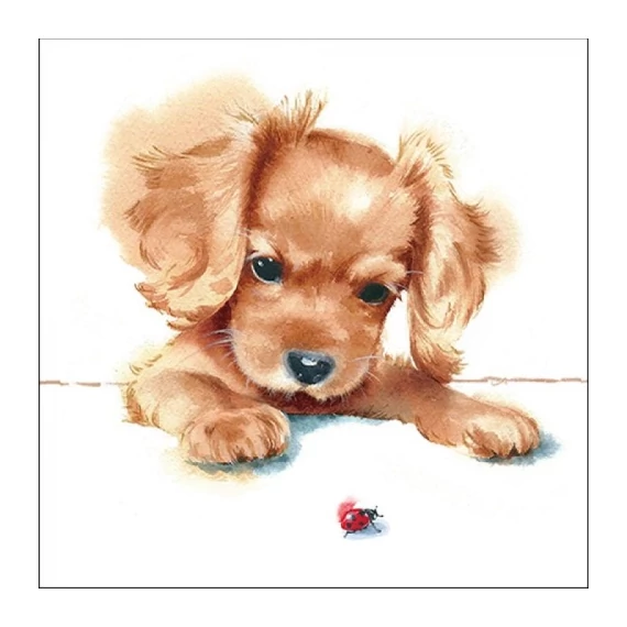 Puppy & Ladybird papírszalvéta 33x33cm,20db-os, AMB.13316300