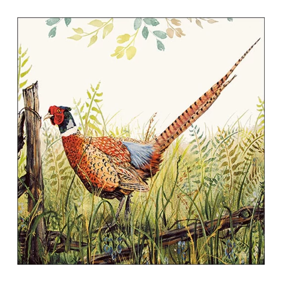 Glorious pheasant papírszalvéta 33x33cm, 20db-os, AMB.13317515
