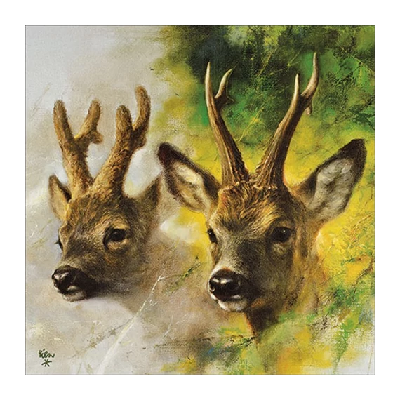 Roebuck papírszalvéta 33x33cm, 20db-os, AMB.13319915