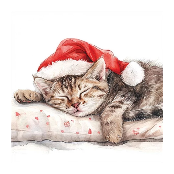 Dreaming about X-Mas papírszalvéta 33x33cm, 20db-os, AMB.33320080