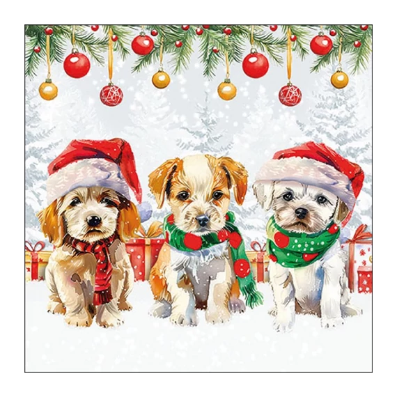 Funny cute puppies papírszalvéta 33x33cm, 20db-os, AMB.33320090
