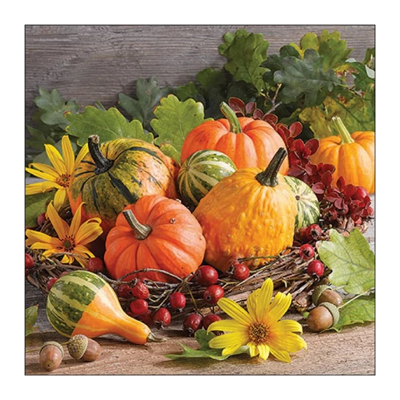 Pumpkin varieties papírszalvéta 33x33cm, 20db-os, AMB.13320255