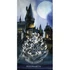 Kép 1/3 - Harry Potter Hogwarts fürdőlepedő, strand törölköző 70x140cm (Fast Dry)