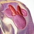 Kép 4/4 - Disney Minnie divattáska, táska fényes, csillámos 36 cm