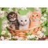 Kép 2/2 - Állatos Brothers in Fur 2x60 db-os puzzle Clementoni