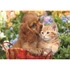 Kép 2/2 - Állatos Cute Friends 104 db-os maxi puzzle Clementoni