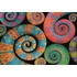 Kép 2/4 - Színes Curly Tails 500 db-os Compact puzzle Clementoni